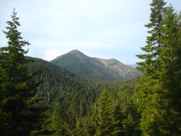 The rugged Siskiyou Mountains, California (Photo: Chris M Morris) 